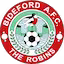 Bideford team
