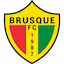 Brusque team