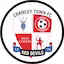 Crawley_Town team