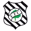 Figueirense team