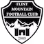 Flint_Mountain team