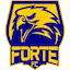 Forte team