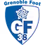Grenoble team