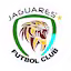 Jaguares_de_Cordoba team