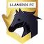 Llaneros team