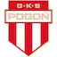Pogon_Grodzisk_Mazowiecki team