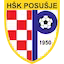 Posusje team