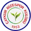 Rizespor team