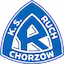 Ruch_Chorzow team