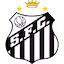 Santos team