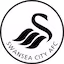 Swansea team