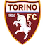 Torino team