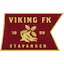 Viking team