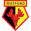 Watford team