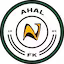 Ahal team