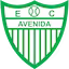 Avenida team