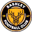 Bashley team