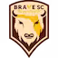 Brave_SC team