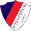 Duzcespor team