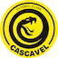 FC_Cascavel team