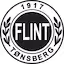 Flint team