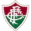 Fluminense team