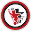 Foggia team