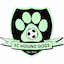 Hound_Dogs team