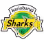 Kariobangi_Sharks team