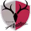 Kashima_Antlers team