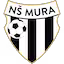 Mura team