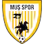 Musspor team