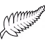 New_Zealand team