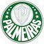 Palmeiras team