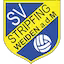 Stripfing team