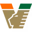 Venezia team