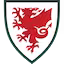 Wales team