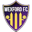 Wexford team