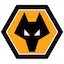 Wolves team