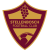 Stellenbosch FC W Logo