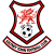 Saltney Town logo
