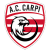 Carpi badge