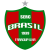 Brasil de Farroupilha W Logo