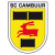 Cambuur badge