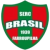 Brasil de Farroupilha U20 Logo