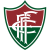 Fluminense de Feira logo