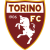 Torino badge