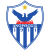 Anorthosis badge