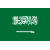 Saudi Arabia Logo