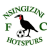 Nsingizini Hotspurs Logo